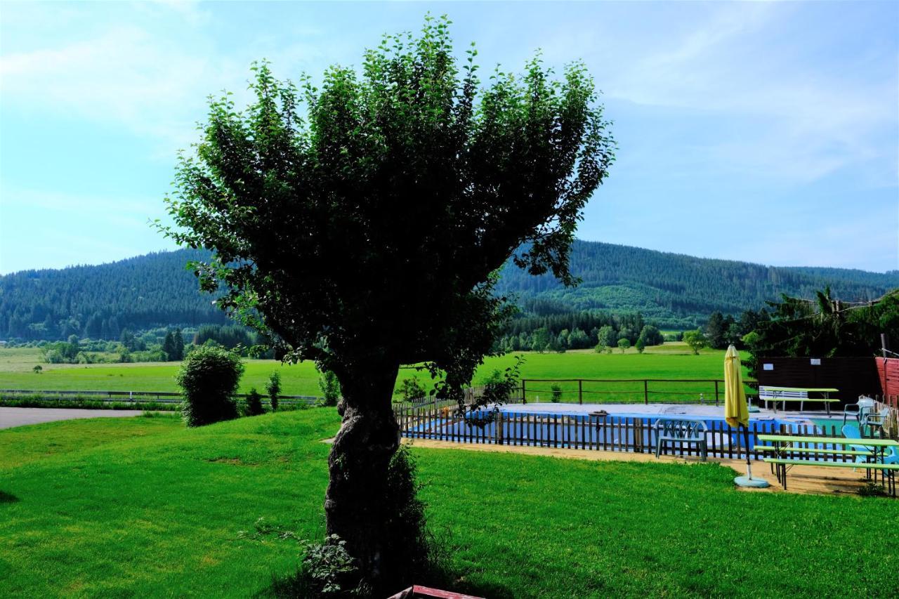 B Und B Titisee Hotel Sonnenmatte Nahe Badeparadies 外观 照片